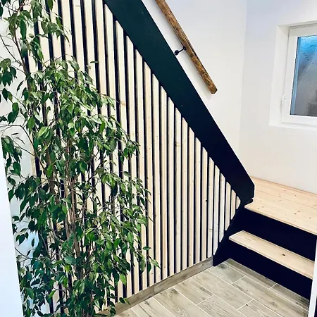 Maison Avec Jacuzzi - Europa-park Appartement