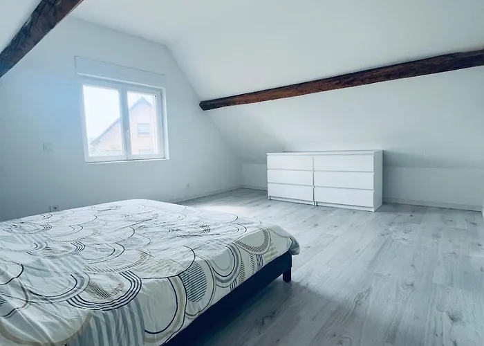 Maison Avec Jacuzzi - Europa-park Appartement
